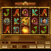 PlayBoom24 - Book of Dead Slot Game